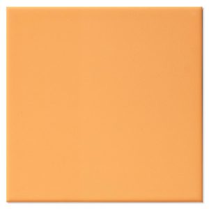 Kakel Monocolor Orange Matt 20x20 cm